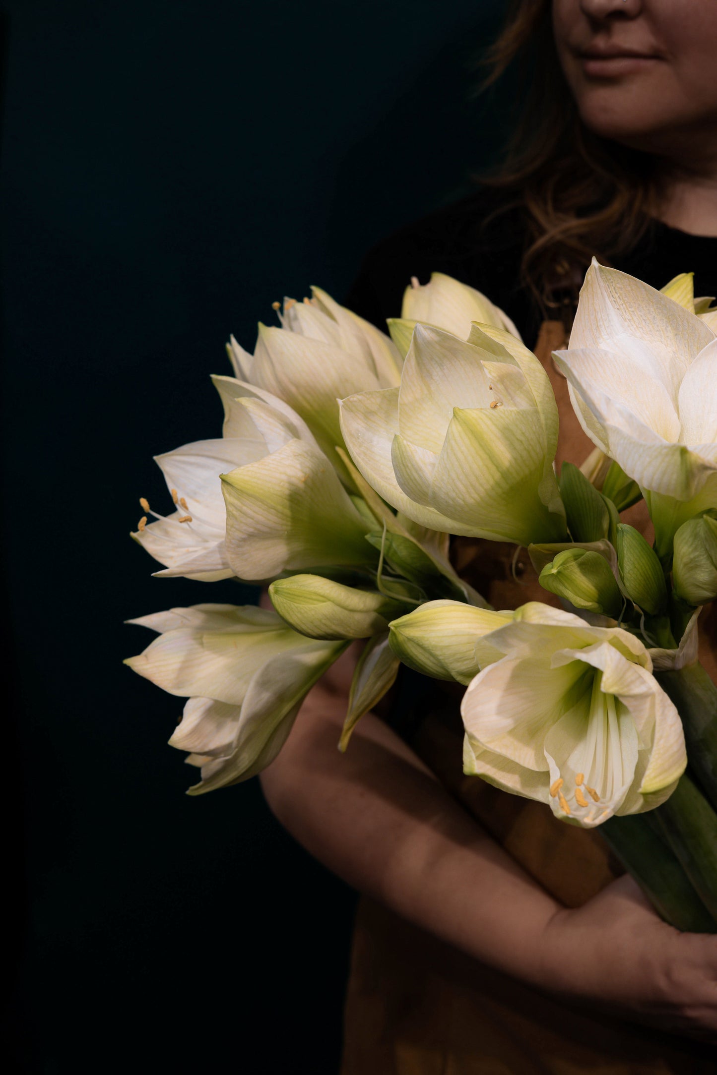 AmaryllisDröm - Vit