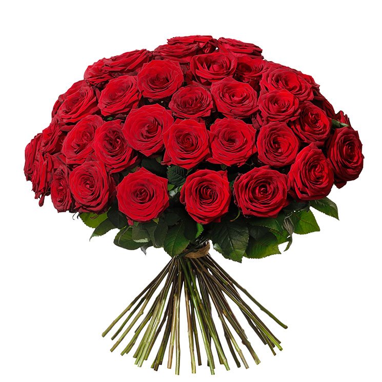50 RED ROSES