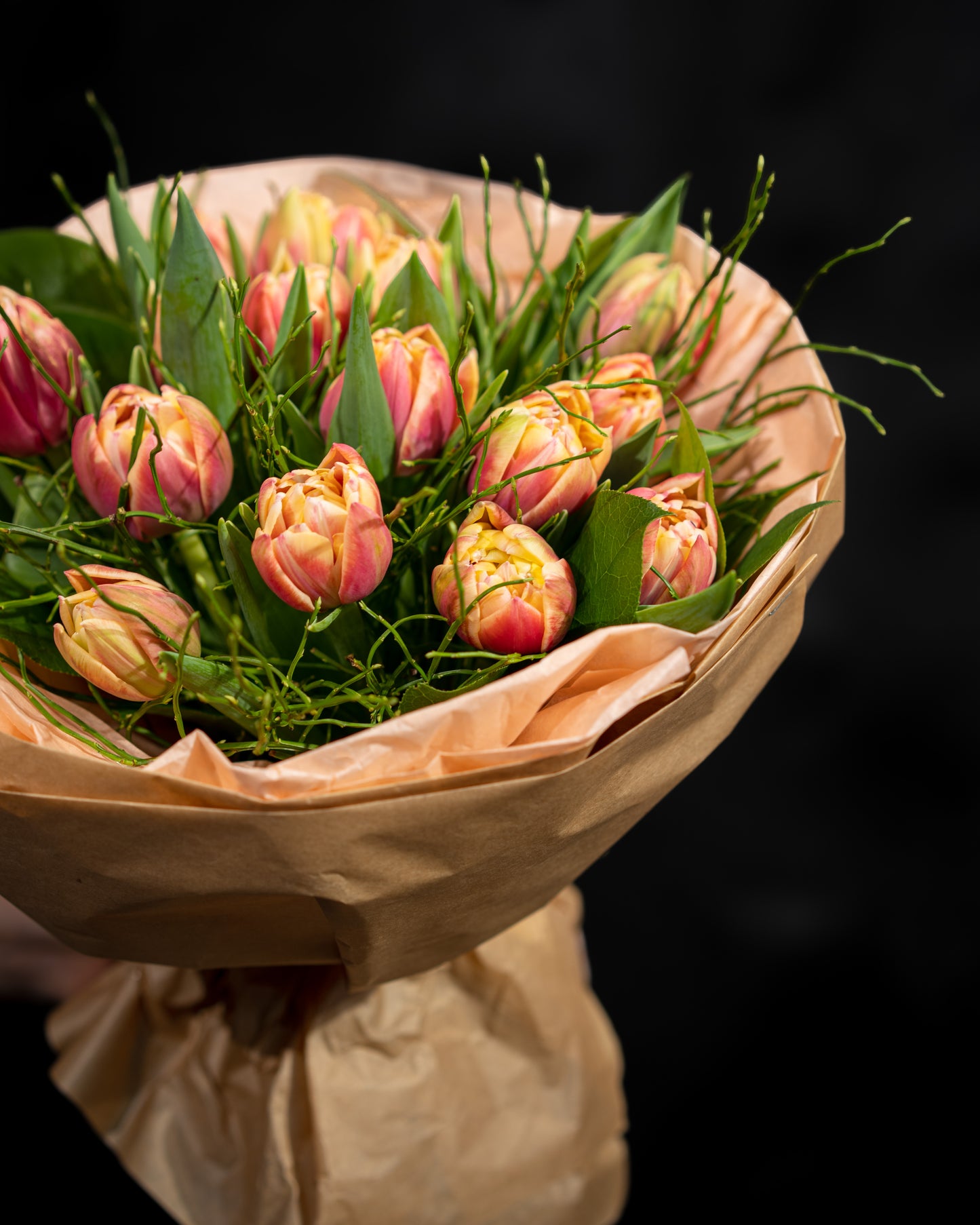Luxurious tulips, apricot