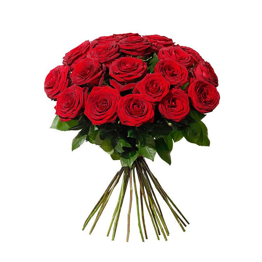 20 RED ROSES 