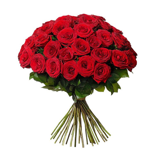 40 RED ROSES 
