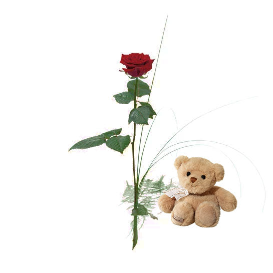 RÖD ROS MED NALLE